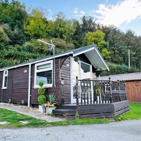 No. 4 Sunny Lodge By The Sea Aberystwyth Exteriör bild