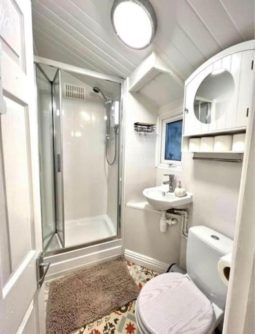 No. 4 Sunny Lodge By The Sea Aberystwyth Exteriör bild